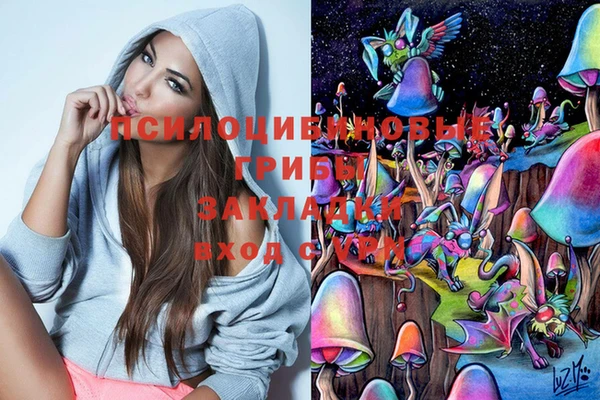 бошки Белоозёрский