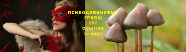 мет Белокуриха