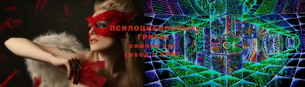 мет Белокуриха